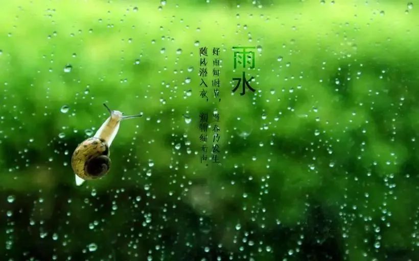 “雨水”來了，注意健脾祛濕防春寒，保健養(yǎng)生這么做！