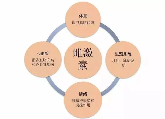 女孩們，答應(yīng)我這個器官一定要保護好